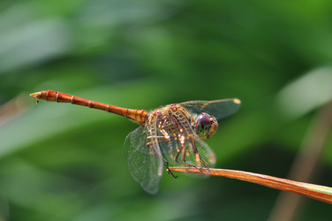 Similar image 2823475