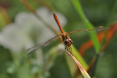 Similar image 2823476