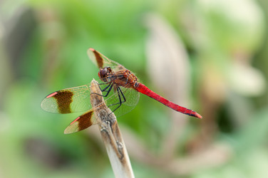 Similar image 2823477