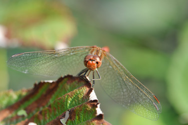 Similar image 2823478