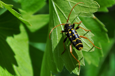 Similar image 2823479