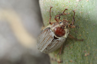 Similar image 2823496