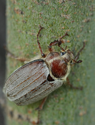 Similar image 2823497