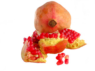 Similar image 2823511