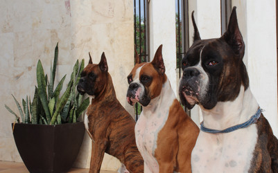 Similar image 2823727