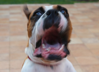 Similar image 2823729