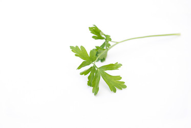 Similar image 2823742