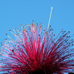 Similar image 2823872