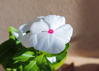 Similar image 2823930