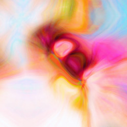 Similar image 2824086