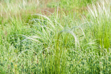 Similar image 2824438