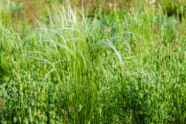 Similar image 2824439