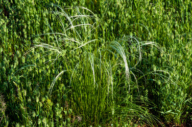 Similar image 2824440