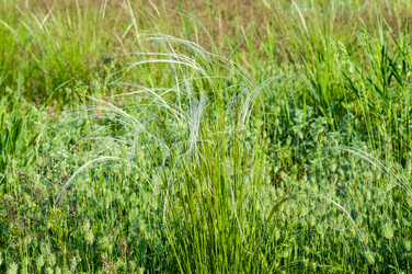 Similar image 2824441