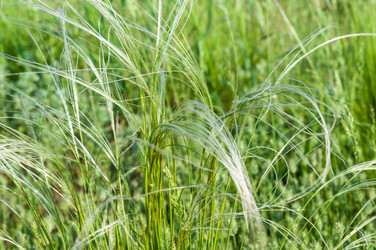 Similar image 2824452