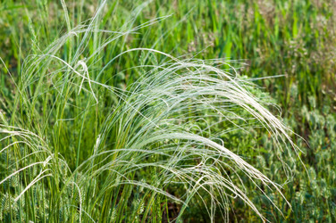 Similar image 2824453