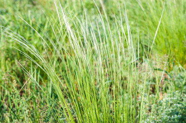 Similar image 2824454