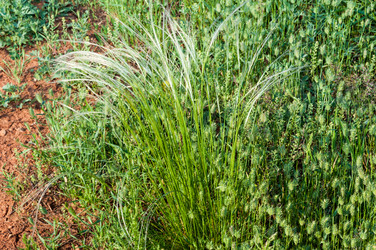 Similar image 2824455