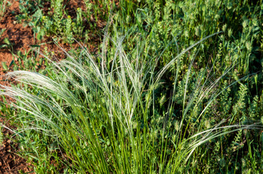 Similar image 2824456