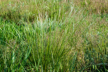 Similar image 2824460