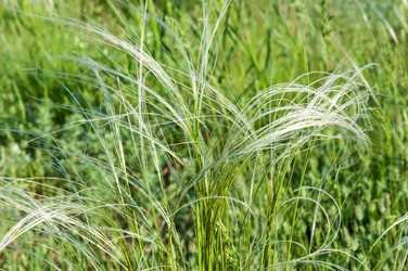 Similar image 2824461