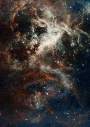 Similar image 2824566