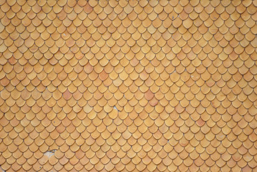 Similar image 2824984