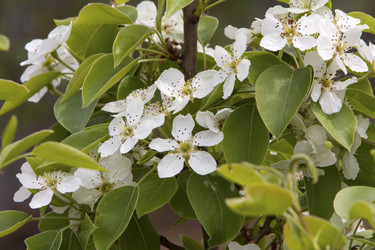 Similar image 2825236