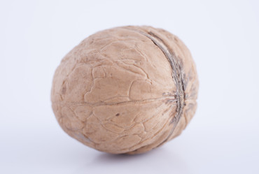 Similar image 2825256