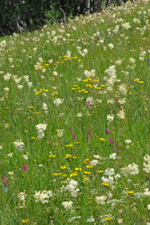 Similar image 2825321