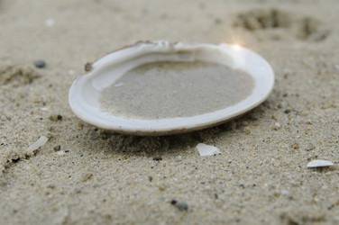 Similar image 2825340