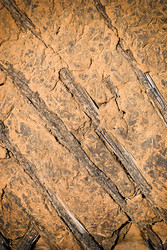 Similar image 2825366