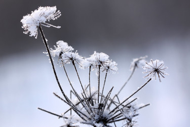 Similar image 2825416