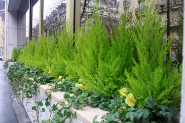 Similar image 2825420