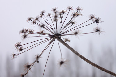 Similar image 2825424