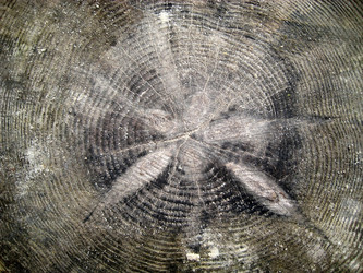 Similar image 2825485