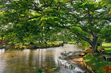 Similar image 2825522