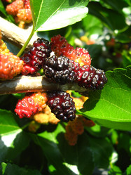 Similar image 2825621