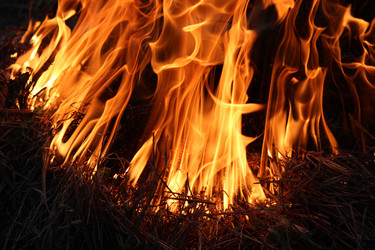 Similar image 2825623