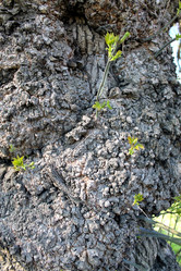 Similar image 2827353