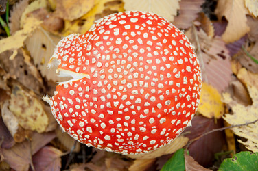 Similar image 2827377