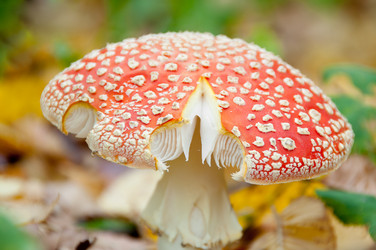 Similar image 2827379