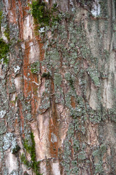 Similar image 2827381