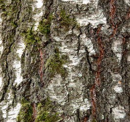 Similar image 2827383