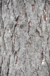 Similar image 2827407