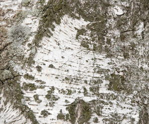 Similar image 2827408