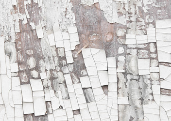 Similar image 2827411