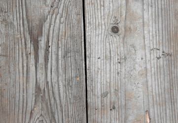 Similar image 2827412