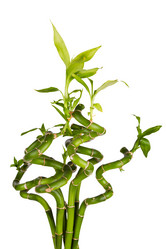 Similar image 2827428