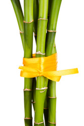 Similar image 2827429